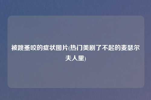 被跳蚤咬的症状图片(热门美剧了不起的麦瑟尔夫人里)