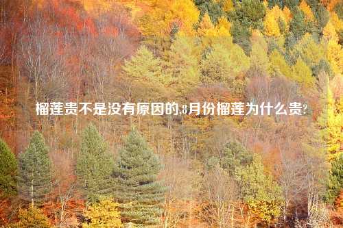 榴莲贵不是没有原因的,8月份榴莲为什么贵?