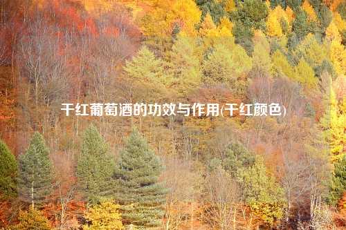 干红葡萄酒的功效与作用(干红颜色)