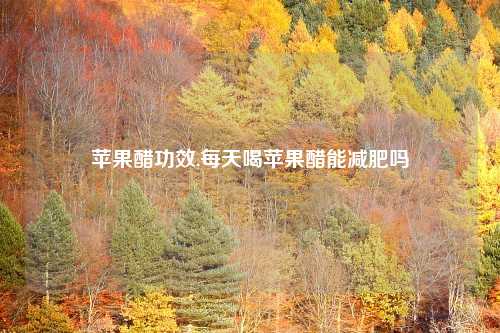 苹果醋功效,每天喝苹果醋能减肥吗