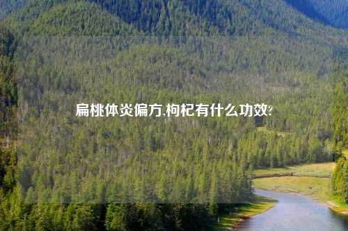 扁桃体炎偏方,枸杞有什么功效?