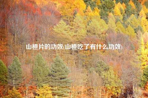 山楂片的功效(山楂吃了有什么功效)