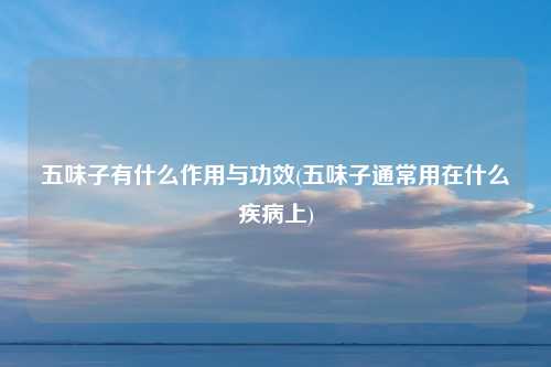 五味子有什么作用与功效(五味子通常用在什么疾病上)