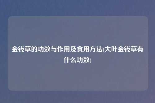 金钱草的功效与作用及食用方法(大叶金钱草有什么功效)