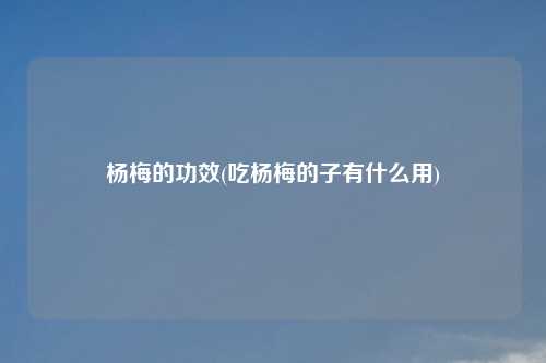 杨梅的功效(吃杨梅的子有什么用)