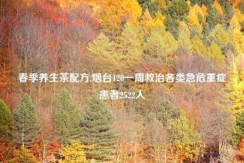 春季养生茶配方,烟台120一周救治各类急危重症患者2522人