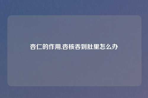 杏仁的作用,杏核吞到肚里怎么办