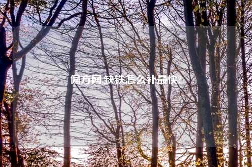 偏方网,缺铁怎么补最快?
