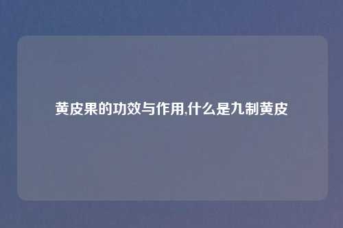 黄皮果的功效与作用,什么是九制黄皮