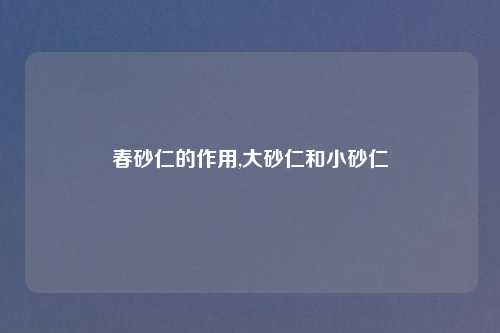 春砂仁的作用,大砂仁和小砂仁