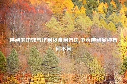 连翘的功效与作用及食用方法,中药连翘品种有何不同