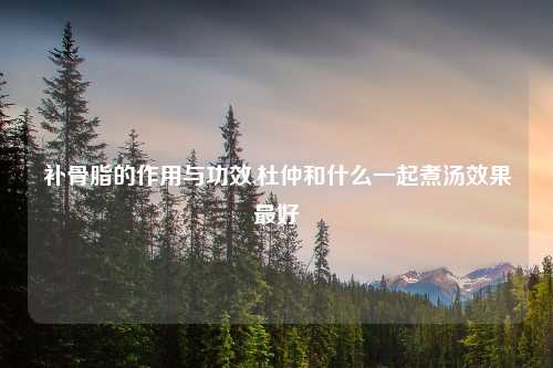 补骨脂的作用与功效,杜仲和什么一起煮汤效果最好
