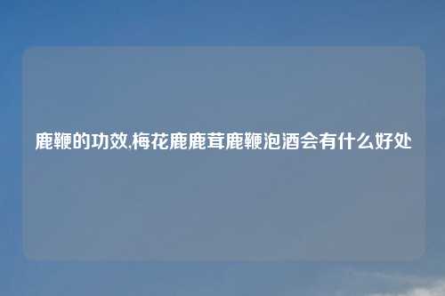 鹿鞭的功效,梅花鹿鹿茸鹿鞭泡酒会有什么好处