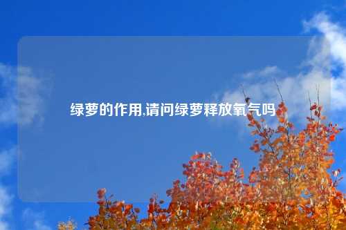 绿萝的作用,请问绿萝释放氧气吗