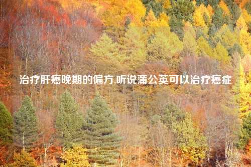 治疗肝癌晚期的偏方,听说蒲公英可以治疗癌症