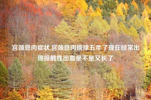 宫颈息肉症状,宫颈息肉摘除五年了现在经常出现接触性出血是不是又长了