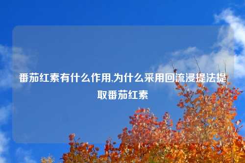 番茄红素有什么作用,为什么采用回流浸提法提取番茄红素