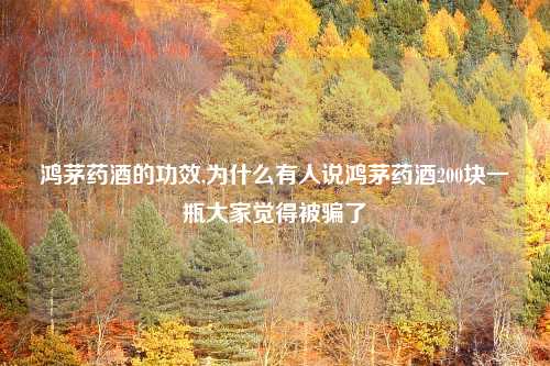 鸿茅药酒的功效,为什么有人说鸿茅药酒200块一瓶大家觉得被骗了