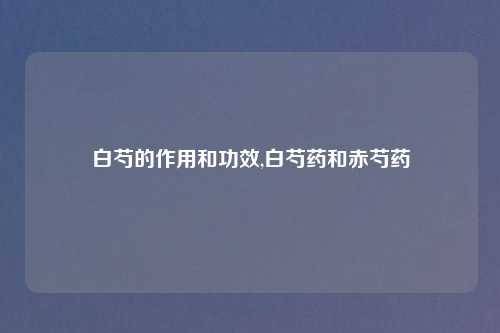 白芍的作用和功效,白芍药和赤芍药