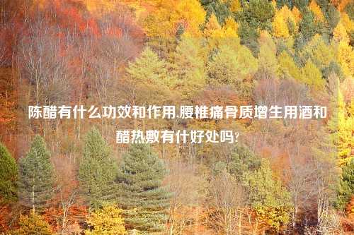 陈醋有什么功效和作用,腰椎痛骨质增生用酒和醋热敷有什好处吗?