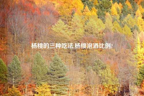 杨桃的三种吃法,杨桃泡酒比例?
