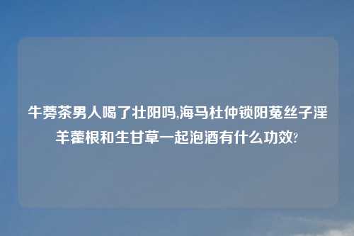牛蒡茶男人喝了壮阳吗,海马杜仲锁阳菟丝子淫羊藿根和生甘草一起泡酒有什么功效?