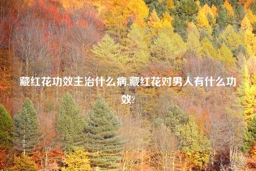 藏红花功效主治什么病,藏红花对男人有什么功效?