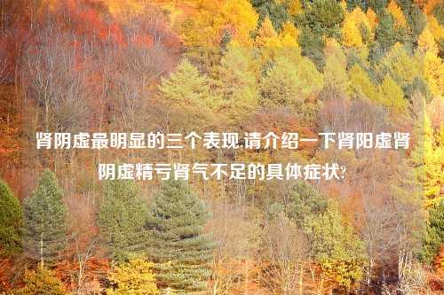 肾阴虚最明显的三个表现,请介绍一下肾阳虚肾阴虚精亏肾气不足的具体症状?