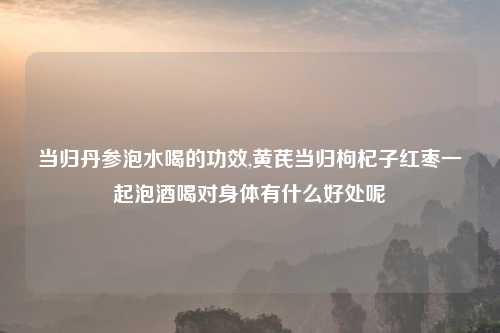 当归丹参泡水喝的功效,黄芪当归枸杞子红枣一起泡酒喝对身体有什么好处呢