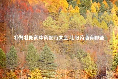 补肾壮阳药中药配方大全,壮阳药酒有哪些
