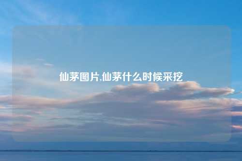 仙茅图片,仙茅什么时候采挖