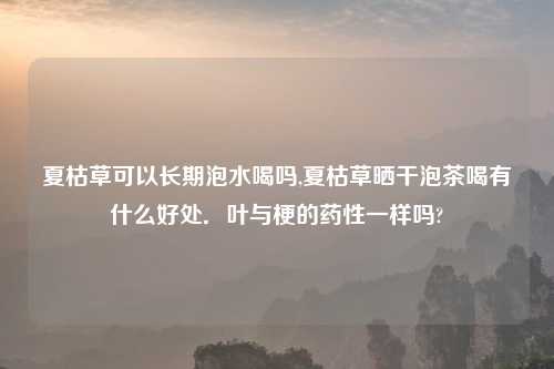 夏枯草可以长期泡水喝吗,夏枯草晒干泡茶喝有什么好处．叶与梗的药性一样吗?