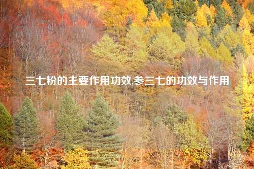 三七粉的主要作用功效,参三七的功效与作用