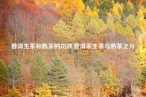普洱生茶和熟茶的功效,普洱茶生茶与熟茶之分