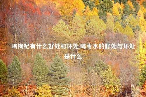 喝枸杞有什么好处和坏处,喝枣水的好处与坏处是什么