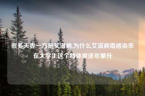 很多夫妻一方是艾滋病,为什么艾滋病毒感染率在大学生这个群体里逐年攀升