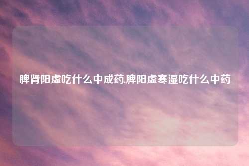 脾肾阳虚吃什么中成药,脾阳虚寒湿吃什么中药