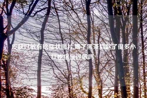 皮肤过敏有啥症状图片,喝了黑茶后起了很多小红疙瘩是过敏吗?