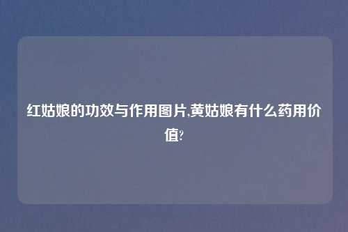 红姑娘的功效与作用图片,黄姑娘有什么药用价值?