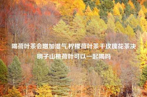 喝荷叶茶会增加湿气,柠檬荷叶茶干玫瑰花茶决明子山楂荷叶可以一起喝吗