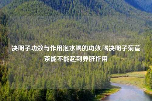 决明子功效与作用泡水喝的功效,喝决明子菊苣茶能不能起到养肝作用