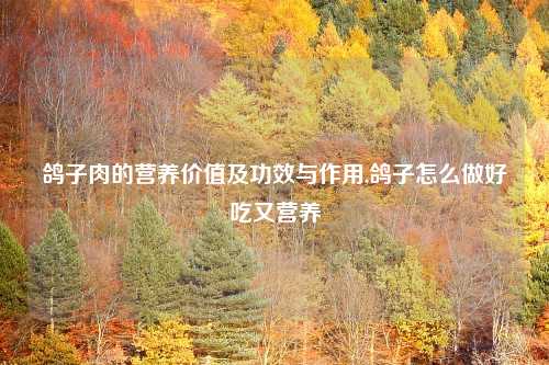 鸽子肉的营养价值及功效与作用,鸽子怎么做好吃又营养