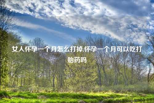 女人怀孕一个月怎么打掉,怀孕一个月可以吃打胎药吗
