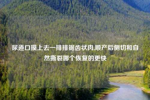 尿道口摸上去一排排锯齿状肉,顺产后侧切和自然撕裂哪个恢复的更快
