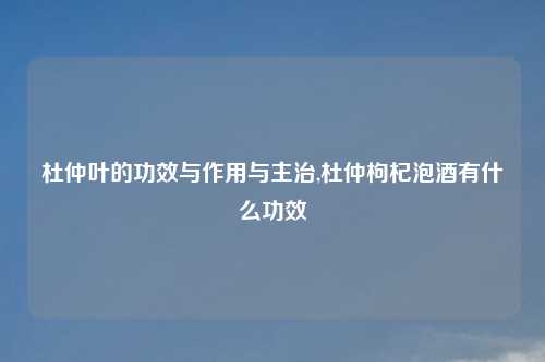 杜仲叶的功效与作用与主治,杜仲枸杞泡酒有什么功效