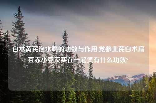 白术黄芪泡水喝的功效与作用,党参北芪白术扁豆赤小豆茨实在一起煲有什么功效?