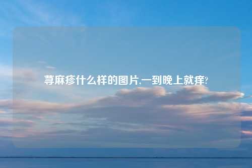 荨麻疹什么样的图片,一到晚上就痒?