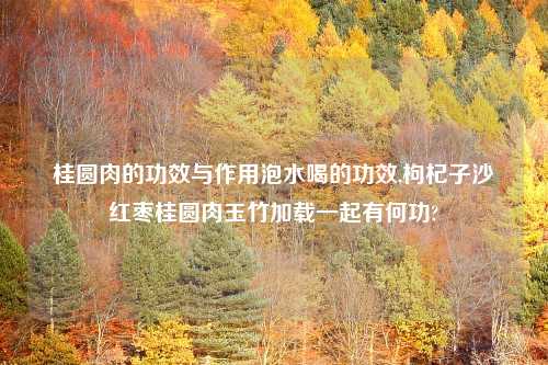 桂圆肉的功效与作用泡水喝的功效,枸杞子沙蔘红枣桂圆肉玉竹加载一起有何功?