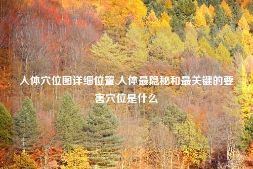 人体穴位图详细位置,人体最隐秘和最关键的要害穴位是什么