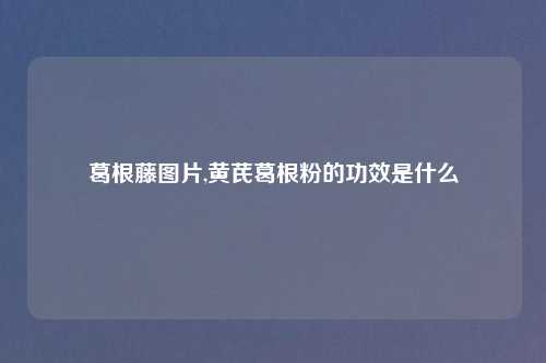 葛根藤图片,黄芪葛根粉的功效是什么